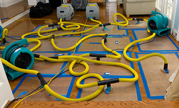 Professional Crawl Space Water Removal technician working in Newport, NH